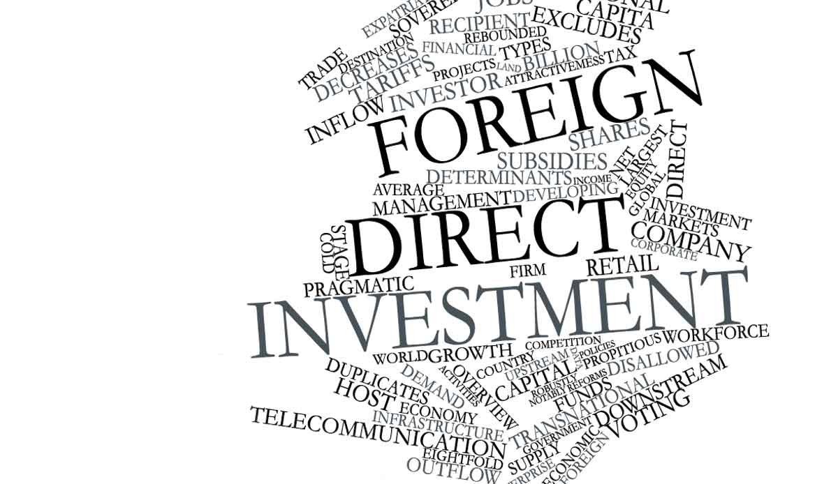 Foreign Direct Investments in South Asia