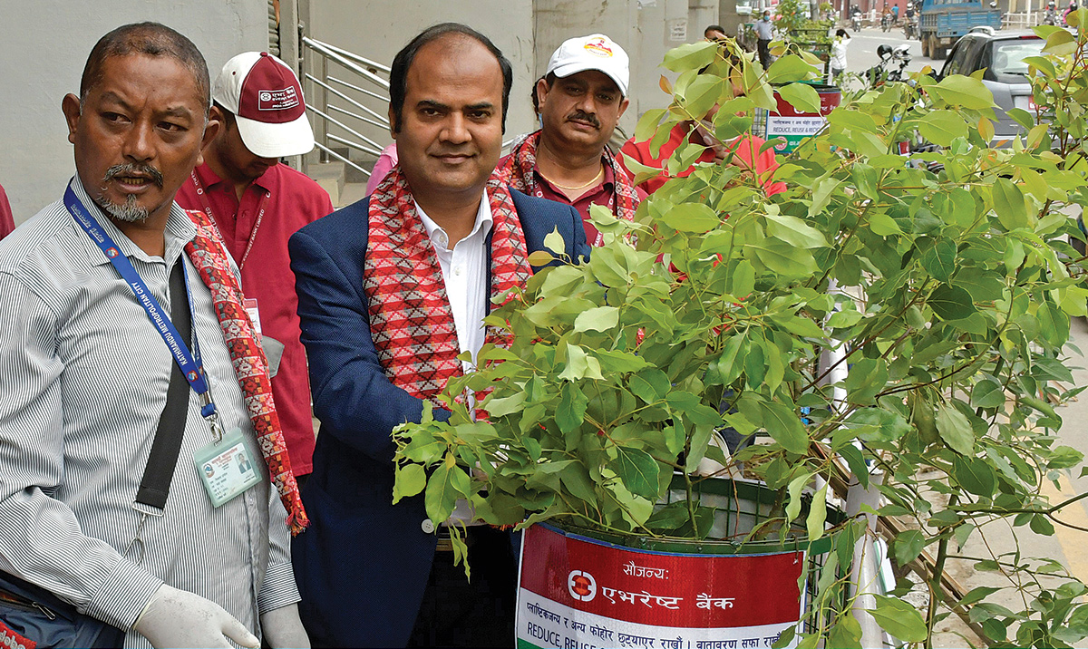 Tree Plantation done by Everest Bank