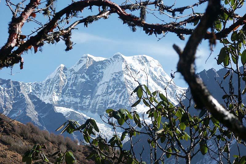 NMA rescues four climbers, Nepali guide from Mera Peak
