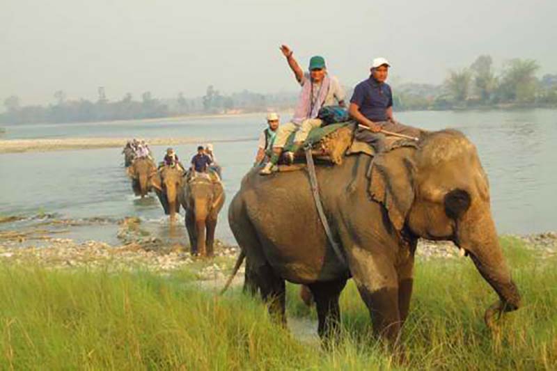 Jungle Safari in Chitwan National Park to be shut down temporarily