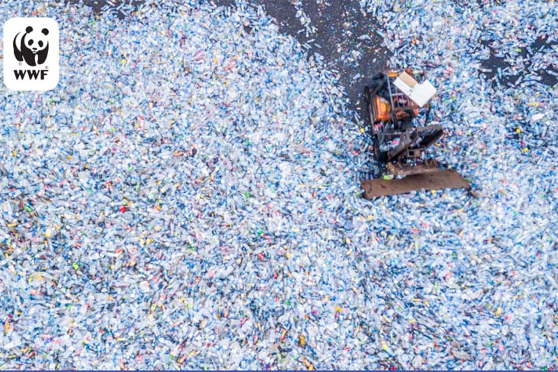 Coca-Cola among principal members of WWF’s programme addressing plastic waste crisis