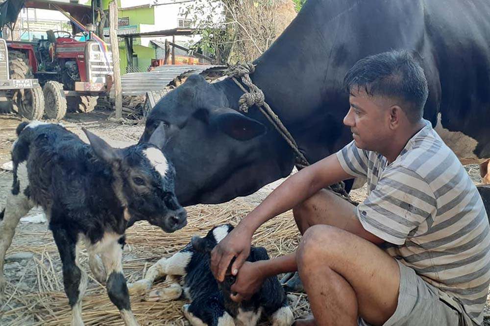 Chitwan farmers demand increase in milk price by Rs 14 per litre