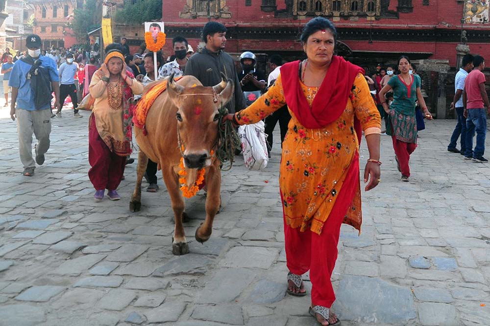 Gaijatra festival being observed in the valley