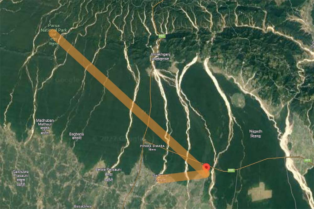 NEA to instal underground transmission line from Parsa National Park to Gadhimai