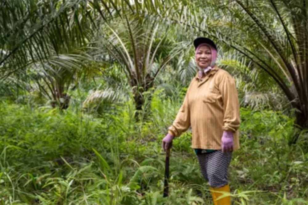 India to lead the way towards a sustainable palm oil industry: RSPO