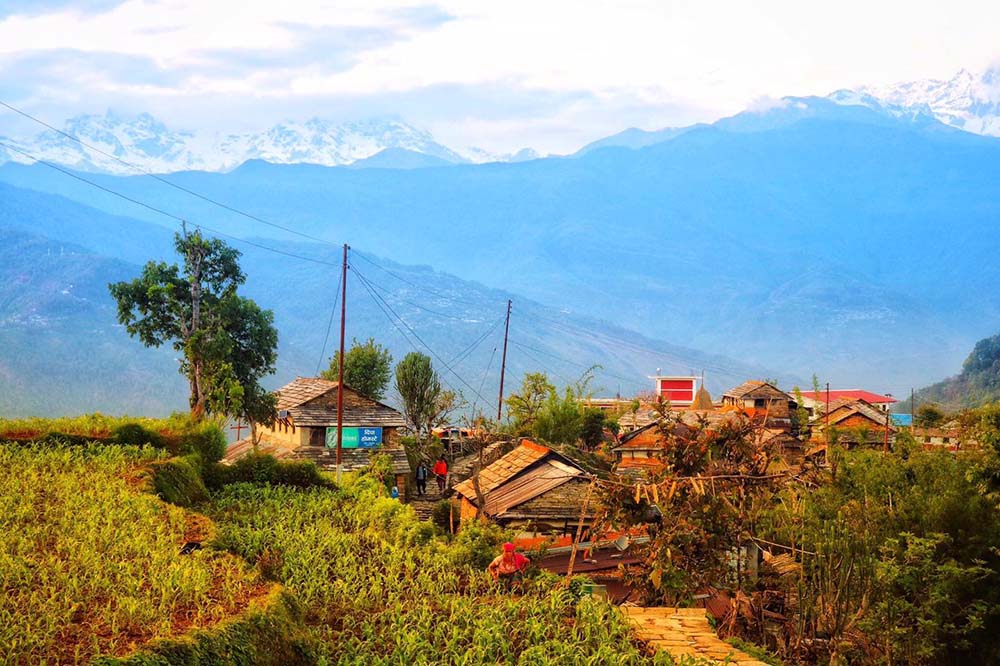 Homestay facility attracts more tourists in Kaski’s village