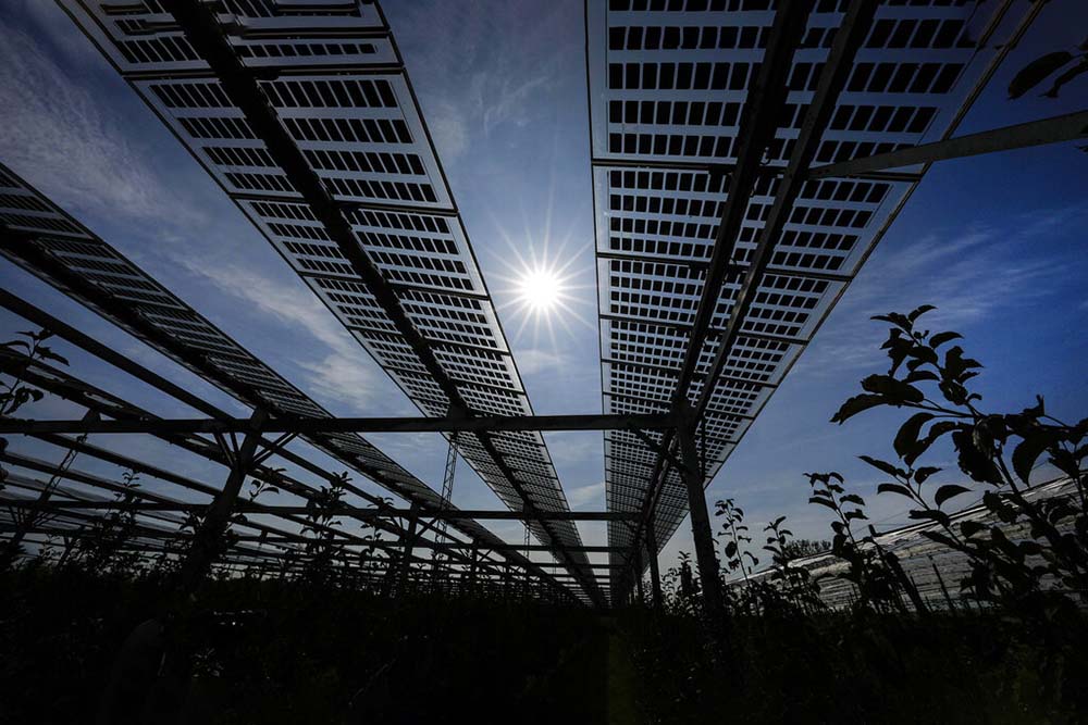 Korean firm plans $2.5B in new solar panel plants in Georgia