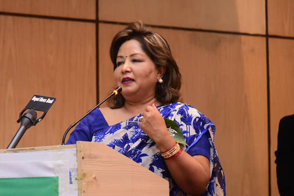 &#8216;Foreign investment inevitable for Nepal&#8217;s development&#8217;