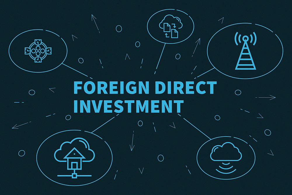 Automatic route in foreign direct investment