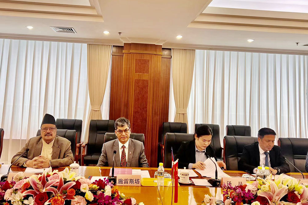 NPC Vice-Chair discusses Chinese projects with NDRC, CIDCA officials
