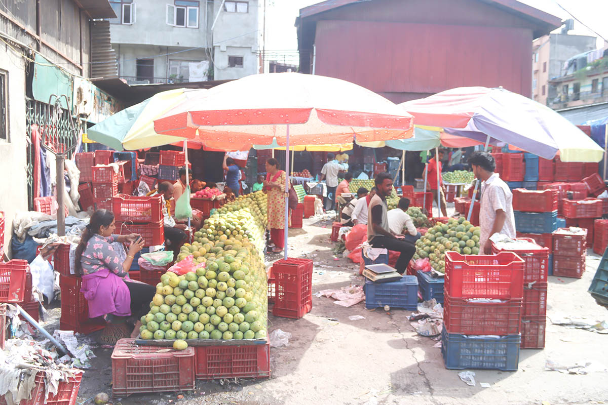 Vendors display mangoes at Kalimati market