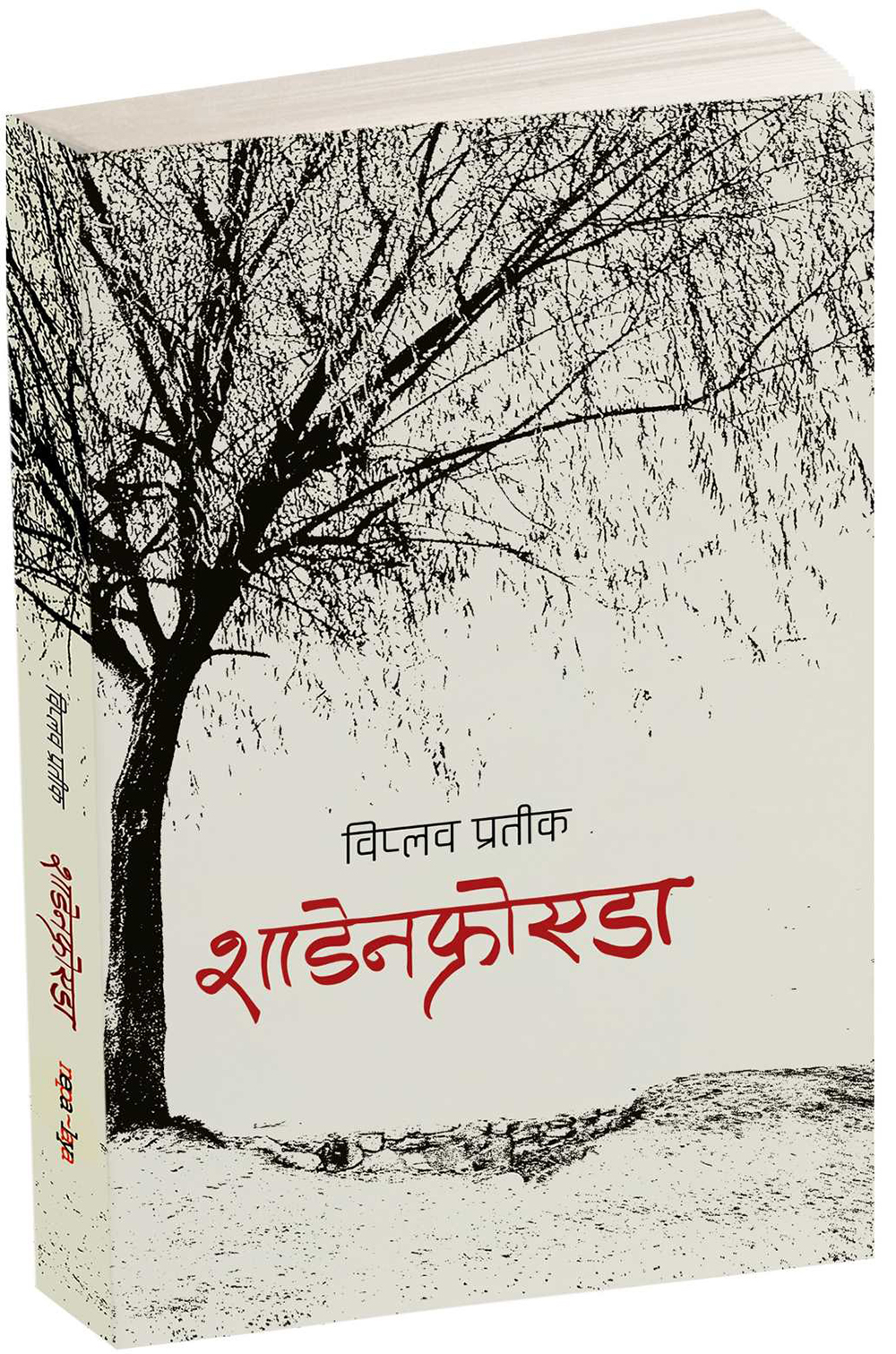Poet Viplob Pratik Unveils Haiku Collection 'Schadenfreude'