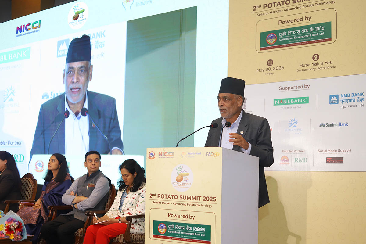 NICCI organises 2nd Potato Summit on International Day of Potato