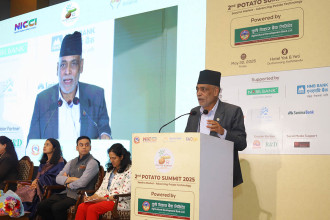 NICCI organises 2nd Potato Summit on International Day of Potato