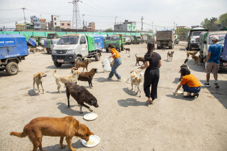 Aloft Kathmandu Thamel launches street dog feeding programme 