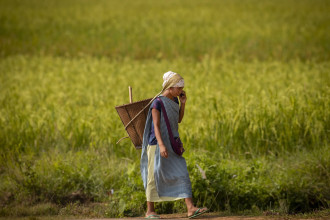 Global GDP growth to slow to 2.9 pc in 2025, 2026: OECD