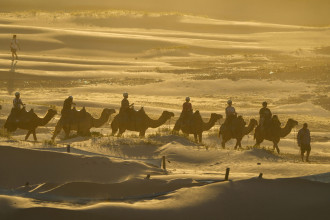 Australia sees slowest annual economic growth in 30 years; GDP falls to 1.5 pc