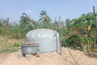India approves $2.5bn scheme to boost biogas output