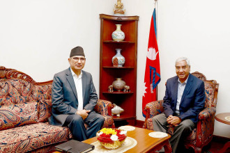 DPM Paudel discusses upcoming fiscal year budget with NC president Deuba