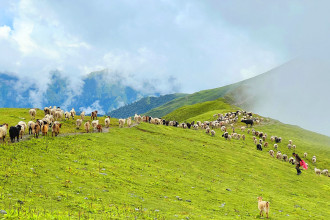 Number of tourists trekking to Bukipatan rises to 50 a day