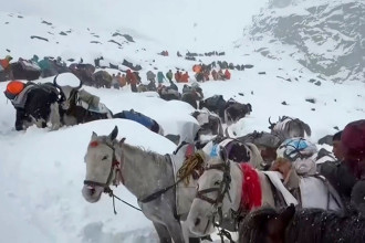Remaining stranded hikers rescued near Everest