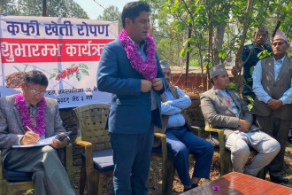 Minister Bhandari inaugurates coffee farming in Baitadi