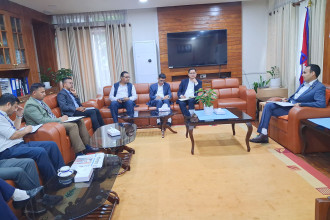 Communication minister urges telecom providers to operate professionally, follow regulations