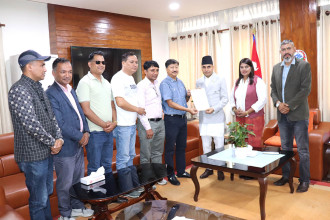 Govt committed to making advertising market transparent, competitive: Communication minister