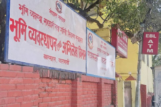 DoLMA extends deadline for firms seeking real estate licence to Dec 13