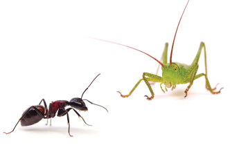 Two Strategies For Making Better Financial Choices In 2024