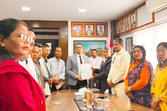 FNNTE urges finance minister to grant customs duty concessions on EV parts