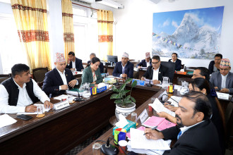 Finance Committee unanimously endorses report on NRB Act amendment bill