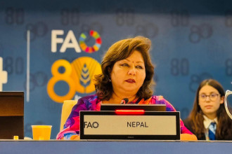 FM Rana urges vulnerable countries to unite on climate action