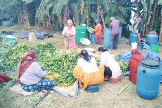 Makawanpur's Ghalegaun women expand gundruk venture into wider markets