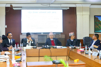 Provinces spend only 14.16 pc of budget in mid-year review: FinMin report