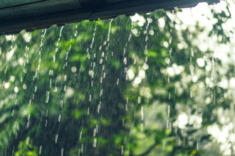 Monsoon Becomes More Active, Heavy Rain and Thunderstorms Likely in Several Parts of Nepal Over the Next Few Days