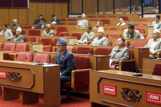 NA lawmakers call for prioritising job creation, youth mobilisation in upcoming FY
