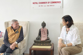 NCC, UNDP collaborate to address climate change impact on businesses