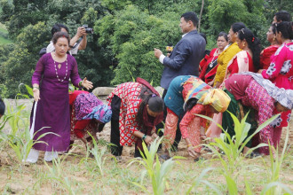 First National Millet Day celebrated in Bhaktapur