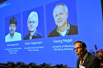Nobel medicine prize goes to 3 scientists for shining light on brain activity
