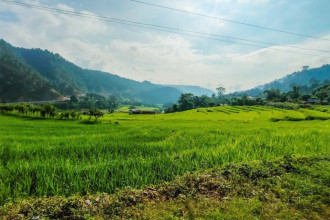 Experts stress need to boost investment in agriculture for economic growth