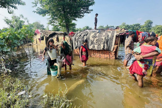 MoALD collects data on agricultural losses from recent disasters