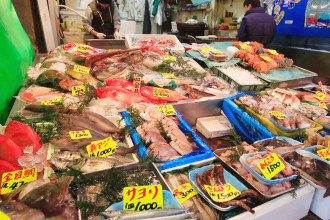 Japan resumes seafood exports to China 2 years after Fukushima wastewater release