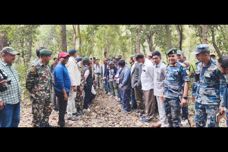 Shuklaphanta National Park begins fifth tiger census