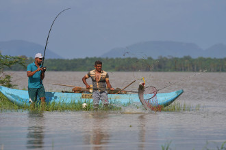 Sri Lanka records steady fall in marine fish harvests since 2014: agency
