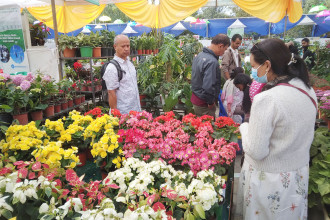 First Tihar Flora Expo 2082 kicks off in Kathmandu