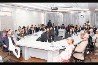 Dedicated web portal for Constitutional Bench launched