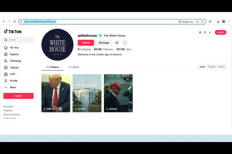 White House launches official TikTok account