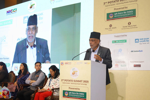 NICCI organises 2nd Potato Summit on International Day of Potato