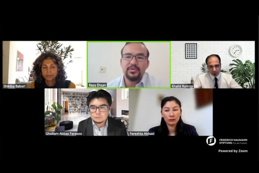 Afghanistan at the Crossroads: Politics, Human Rights, and the Crisis of Silence